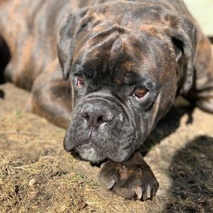 Meet your Posher, Anna